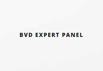 Logo BVD Expert Panel